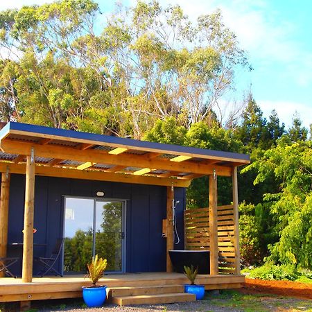 Banana Grove Cabin Raglan Exterior photo